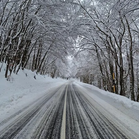 Casa Neve *